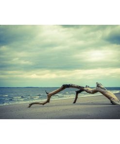 "The Cove" Landscape Photo Unframed Wall Art Print, 20"x24"