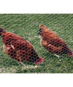 YardGard?308444B Galvanized Poultry Netting, 20-Gauge, 1" Mesh, 60" x 50'