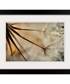 "Sparkle " Black Framed Art Print, 26"x20"x1"