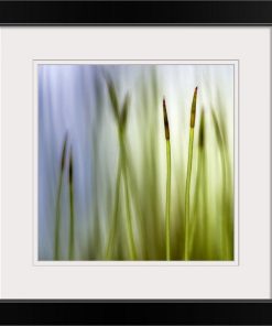 "Moss" Black Framed Art Print, 20"x20"x1"