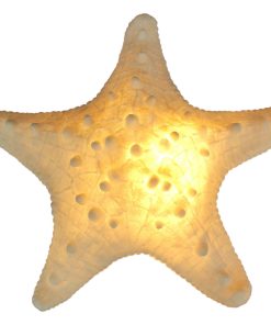 White Starfish Sea Star Coastal Accent Lamp 16 Inch Diameter