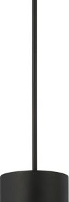1-Light Black Exterior Pendant