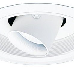 White Adjustable Cylinder Spotlight for 6-Inch Recessed Housings