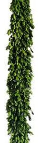 Silk Plants Direct Preserved Boxwood Garland - Green - Pack of 2