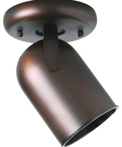1-Light Multi Directional Roundback Wall/Ceiling Fixture, Urban Bronze