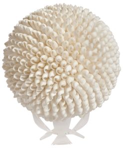 White 8" Shell Bubble Ball